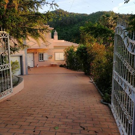 Villa Casa Loureiro - Vista Rio Douro Resende Exterior foto