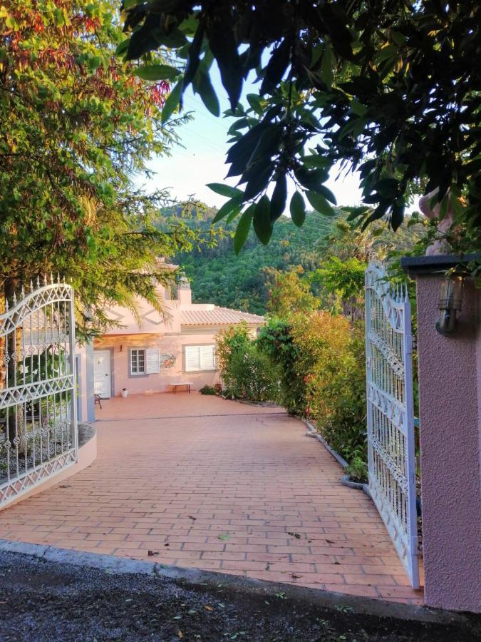 Villa Casa Loureiro - Vista Rio Douro Resende Exterior foto