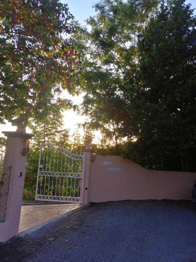 Villa Casa Loureiro - Vista Rio Douro Resende Exterior foto